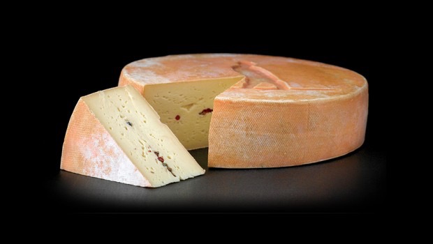 made for raclette, use any really good melting swiss cheese